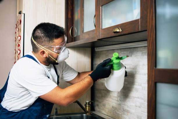 Best Termite Control Services  in Fort Rucker, AL