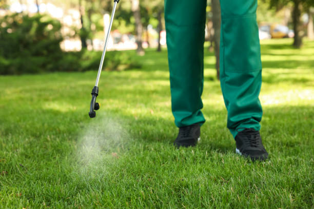 Best Mosquito Control Services  in Fort Rucker, AL