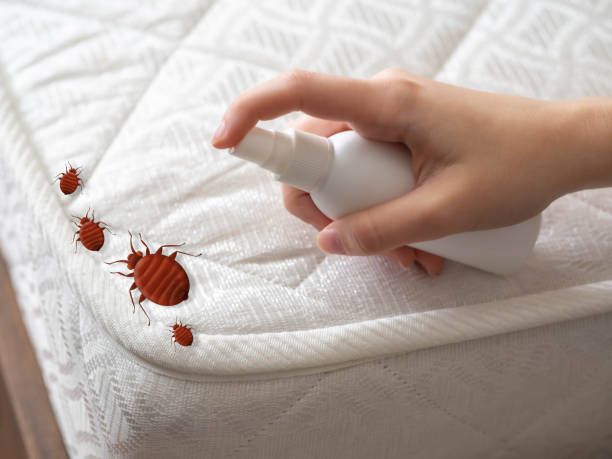 Best Ant Control Services  in Fort Rucker, AL
