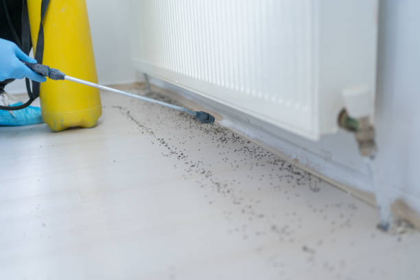 Best Commercial Pest Control Services  in Fort Rucker, AL
