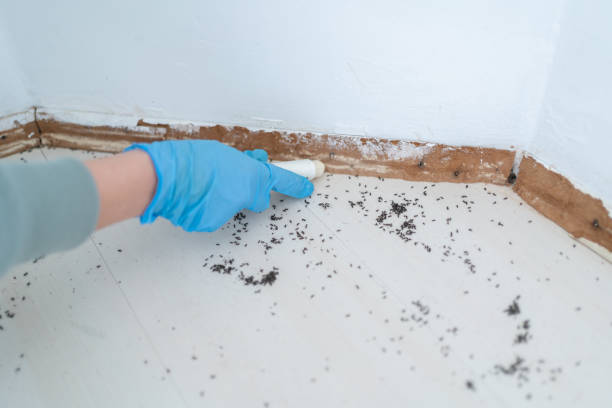Pest Control Cost in Fort Rucker, AL