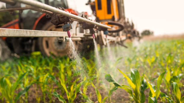 Best Pest Control Cost  in Fort Rucker, AL